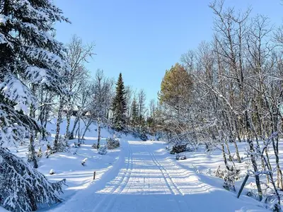 a snow covered path in a forest with trees at 4 person holiday home in gol in Gol