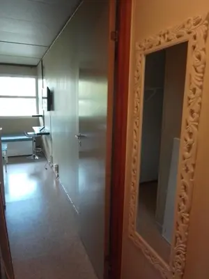 a mirror on a door in a room at Cozy room away from home in Åmot