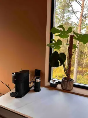 a plant sitting on a counter next to a window at Luxury apartment with beautiful location in Florvåg