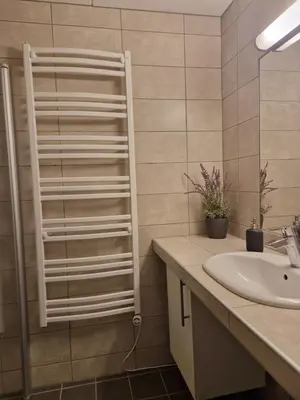 a bathroom with a sink and a shower at Storehorn Apartments Hemsedal in Fausko