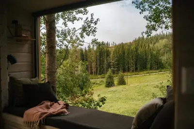 a window with a view of a field and trees at LAUV Tretopphytter in Eidsvoll
