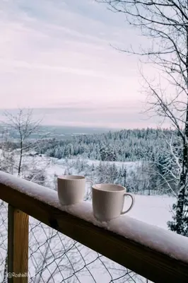 two coffee cups sitting on a rail in the snow at LAUV Tretopphytter in Eidsvoll