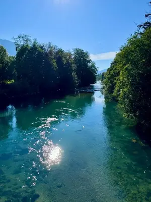 a river with green water and trees on it at Bispen Villa Utsikten in Åndalsnes