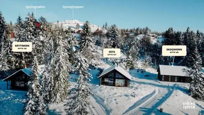 an aerial view of a snow covered cabin with trees at Modern Cabin With Mountain View By Syningtoppen in Torpo