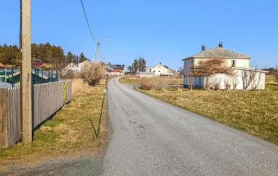 a road with two animals standing on the side of it at Pet Friendly Apartment In Harøy in Steinshamn