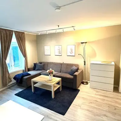 Stor attraktiv studioleilighet i sentrum
