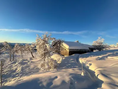 a building covered in snow with trees in the snow at A Peaceful Mountain Retreat in Beitostøl