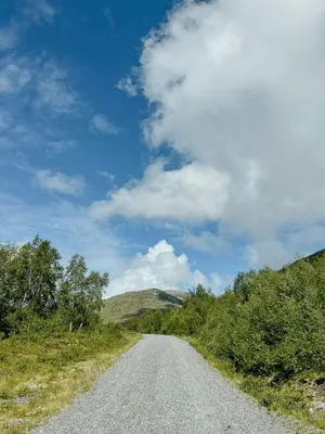 a dirt road with trees on the side of a hill at Modern Cabin With Panoramic Views In Stryn in Stryn