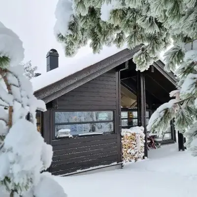 Bright Cabin In Eggedals Beautiful Mountains