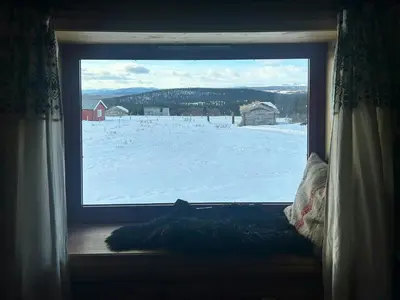 a cat laying on a window sill looking at a snow covered field at Historic Log Cabin With Views Of Rondane in Ringebu