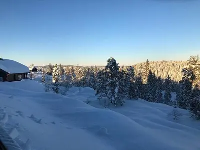 a snow covered field with a house and trees at Family Cabin At Blefjell in Lampeland