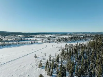 an aerial view of a snow covered field with trees at Family Cabin With Shelter By Lake Gautetjern in Gol