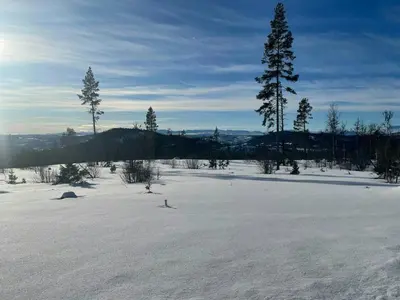 a field covered in snow with trees in the distance at Cabin With A View And Close To Jotunheimen in Heggenes