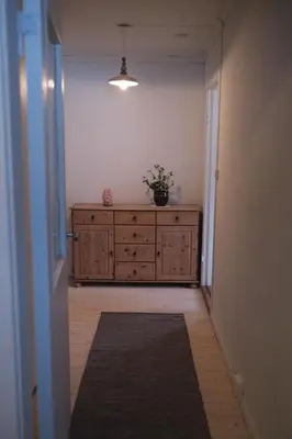 a hallway with a dresser with a potted plant on it at Nesheim in Alnes