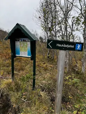 a street sign in a field next to a forest at Flott familiehytte på Haukås i Strandebarm in Kvam