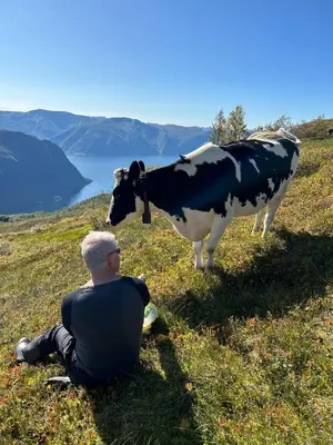 a man sitting on a hill looking at a cow at Støl ved Sognefjorden in Berge