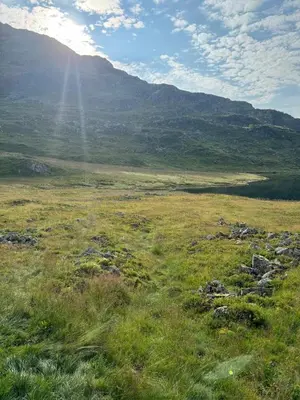 a field of grass with a mountain in the background at Wild Norwegian nature, between Preikestolen & Trolltunga in Sauda
