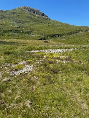 a field of grass with a mountain in the background at Wild Norwegian nature, between Preikestolen & Trolltunga in Sauda