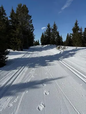 a snow covered road with trees on the side at Nordic Gateway Logde in Hafjell