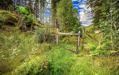 a wooden gate in the middle of a field of grass at Nice Home In Lundegrend With Wifi in Grimsland