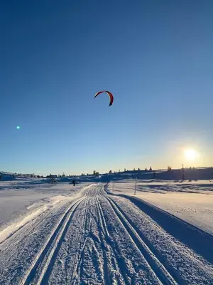 a bird flying over a snow covered road at Gvelvåsen Panorama, Blefjell, family cabin with view and nature in Flesberg