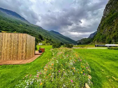 a field of flowers with mountains in the background at Flåm Retreat in Aurland