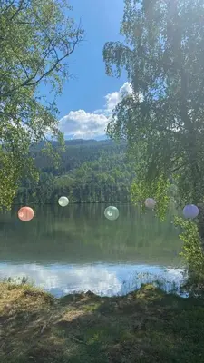 a view of a body of water with trees at Hafslo hytteutleige Straumane in Hafslo
