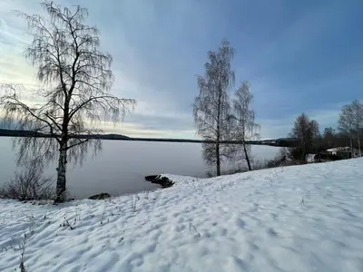 a snowy field with a tree and a body of water at Hagali by Norgesbooking - cabin by the lake Næra, close to Sjusjøen in Ringsaker