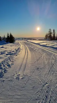 a snowy road with tire tracks in the snow at Cabin Lillehammer, Nordseter, Sjusjøen in Lillehammer