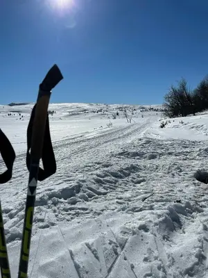 a pair of ski poles in the snow at Family Cabin With Views In Valdres in Reinli