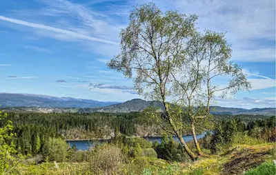 a tree sitting on top of a hill next to a lake at Awesome Home In Sletta With Wifi in Sletta