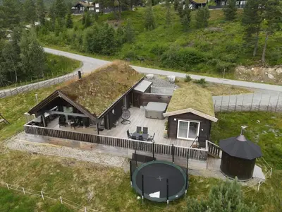 an aerial view of a house with a grass roof at Cabin for rent in scenic Stryn in Stryn