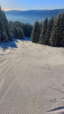 an aerial view of a snow covered slope with trees at Fela Mirror Cabin Designer Hideaway 1000 m Above Sea Level in Aurdal