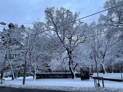 a park covered in snow with trees at oslo in Lii