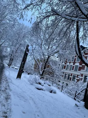 a snow covered path in front of a building at oslo in Lii