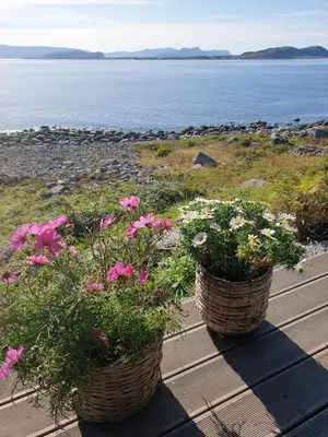 two baskets of flowers sitting on a table near the water at Coastal Cabin With Ocean View On Lepsøya in Kjerstad