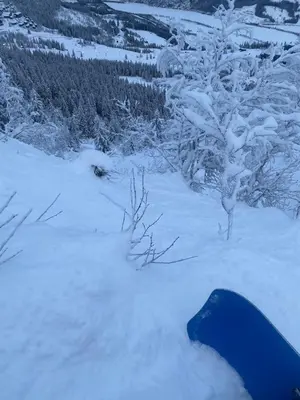 a snowboard laying in the snow next to some trees at Kvitfjell mountain in Strande