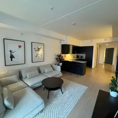 Modern three-room apartment