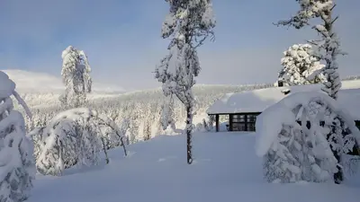 a cabin covered in snow in a snowy forest at Sørbølhytta by Norgesbooking - cabin in Flå, close to Bjørneparken in Flå