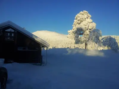 a house in the snow with a tree in the background at Sørbølhytta by Norgesbooking - cabin in Flå, close to Bjørneparken in Flå