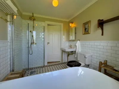 a bathroom with a shower and a toilet and a sink at Historic Croft With Views Over Lake Mjøsa in Ottestad
