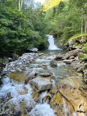 a river with rocks in the middle of a forest at FjordNest Årdalstangen in Årdalstangen