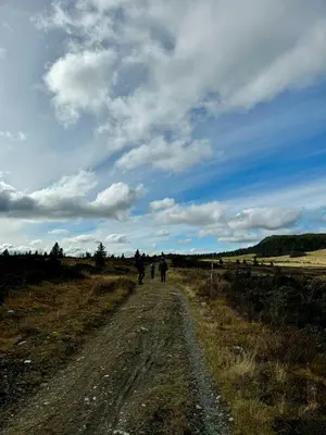 a group of people walking down a dirt road at Timber Cabin With Views Over Golsfjellet in Gol