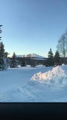 a pile of snow in a field with trees at Timber Cabin With Views Over Golsfjellet in Gol