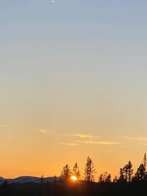 a sunset with trees in the foreground at Cabin at Norefjell! Perfect for families with children in Runn