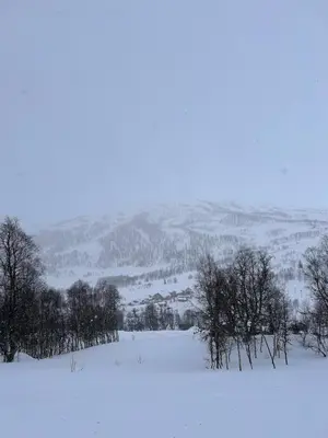 a snow covered field with trees in the distance at Rinden cabin in Sogndal