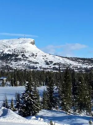a snow covered mountain with trees in the foreground at Trollslottet på Skeikampen in Aulstad