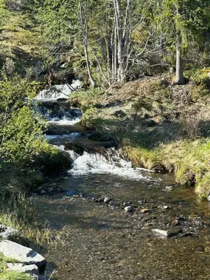 a stream of water flowing down a hill with trees at Trollslottet på Skeikampen in Aulstad