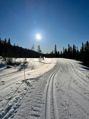 a snow covered road with tracks in the snow at Modern Family Cabin By Tempelseter Ski Trails in Eggedal