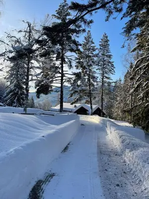 a road covered in snow with trees in the background at Mountain Escape Near Gulsrud With Historical Charm in Eggedal